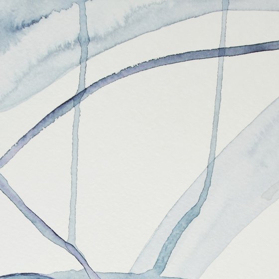 AQUATIC VEIL III (St James’s Park series)