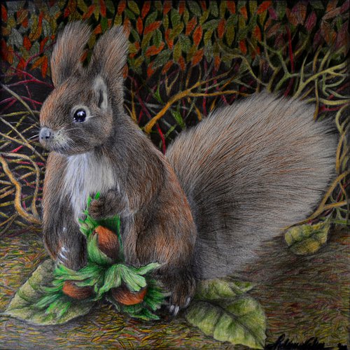 Squirrel and nuts by Maja Tulimowska - Chmielewska