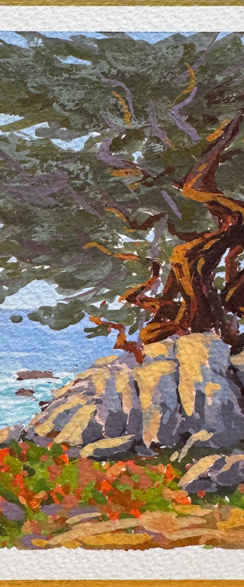 Ghost Trees And Rocks by Tatyana Fogarty
