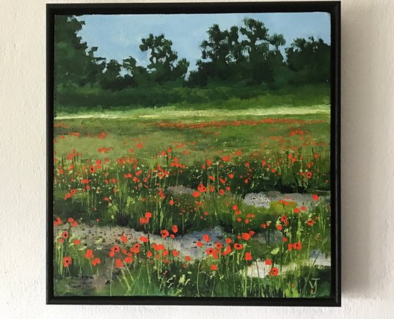 Poppy Field