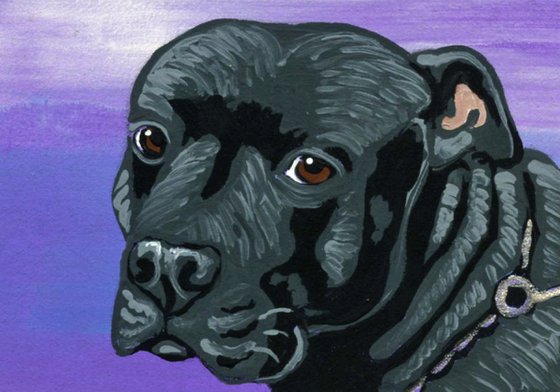 ACEO ATC Original Miniature Painting Black Pitbull Pet Dog Art-Carla Smale