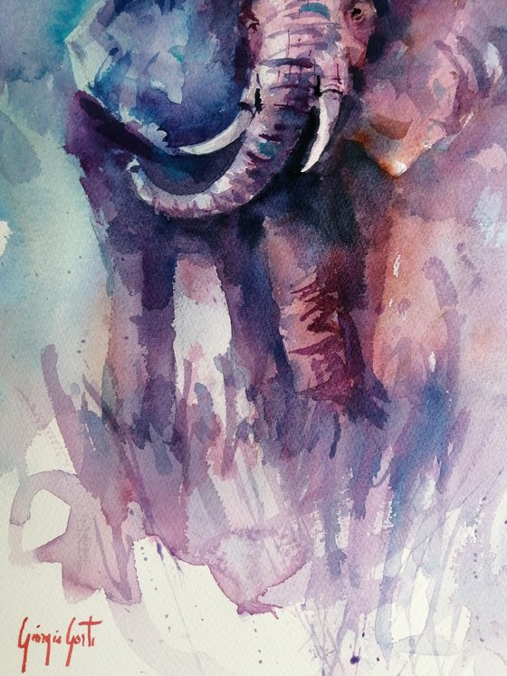 elephant 21