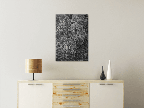 Peonies. Graphite Flowers. Botanical Fine Art