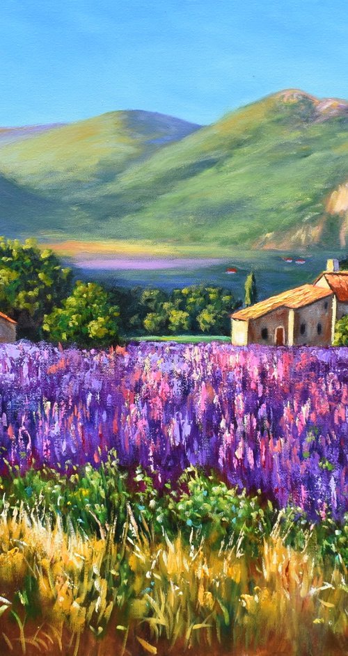 Lavender Farm by Yulia Nikonova