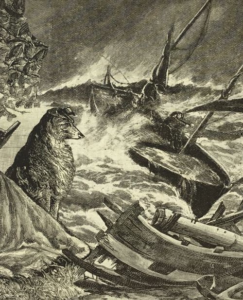 Reading the Story by Tudor Evans