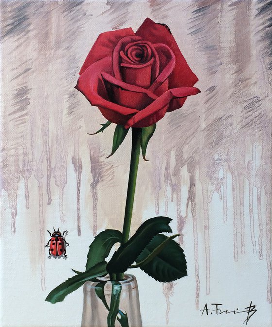 Still Life with a Rose