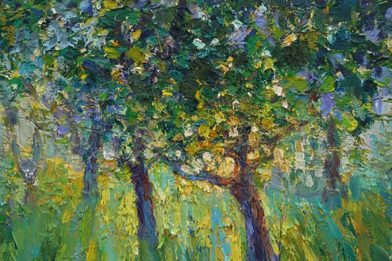 Evening garden