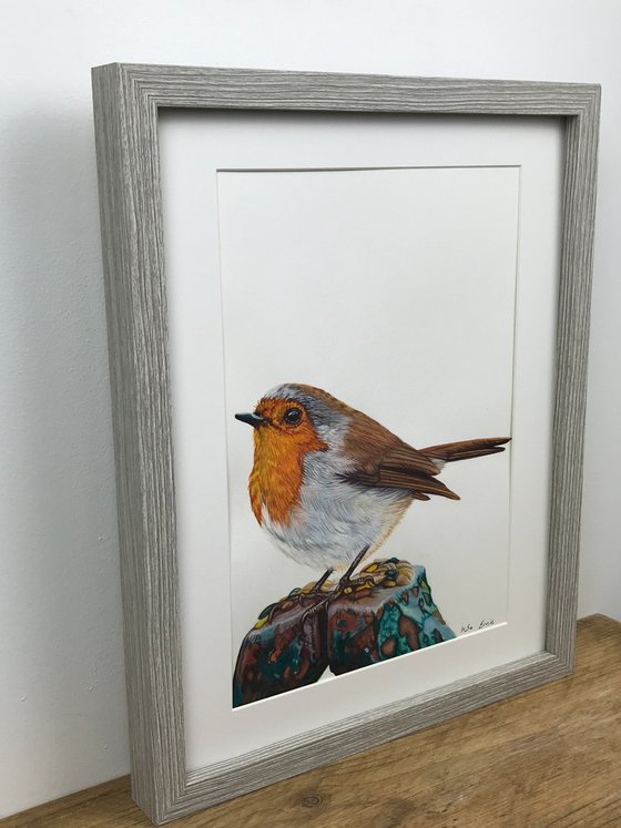 Little Robin