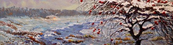 APPLE TREE  IN SNOW