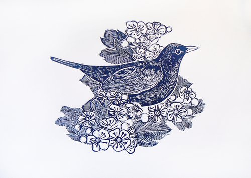 Mr Blackbird by Carolynne Coulson