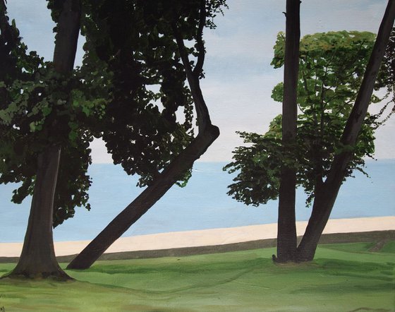 Seafront Trees