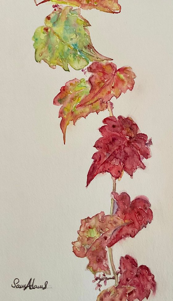 Autumn vine leaves