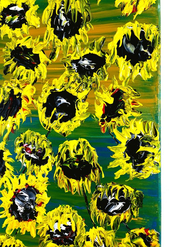 Blooming sunflowers 1