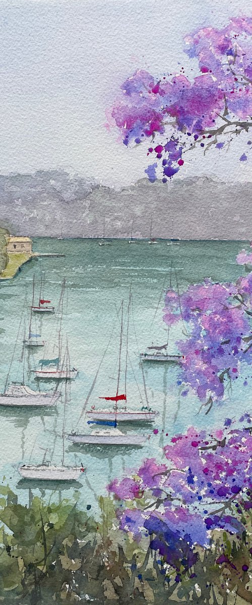 Sydney harbour - Mosman bay through jacaranda blossom by Shelly Du