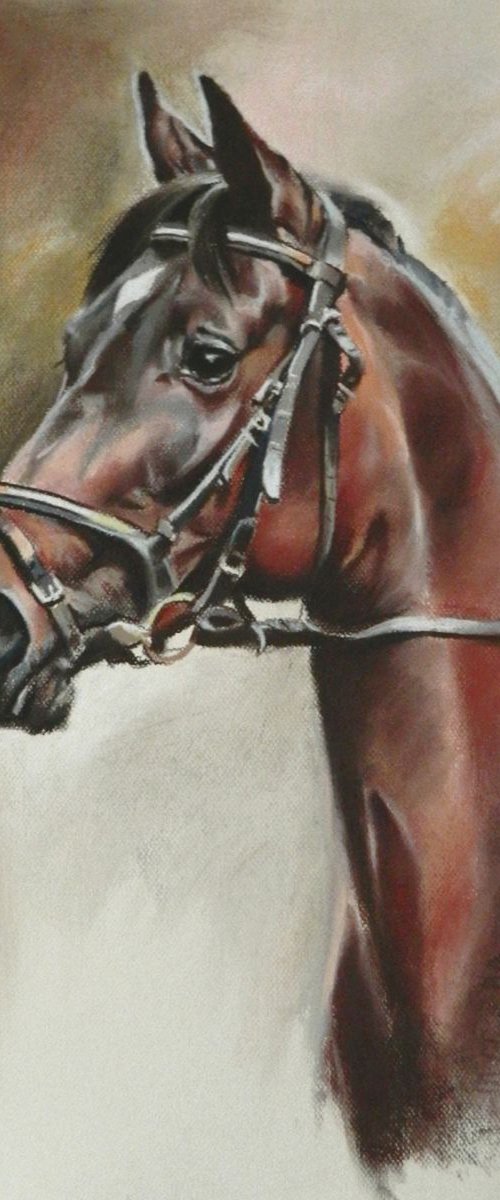 Horse by Magdalena Palega