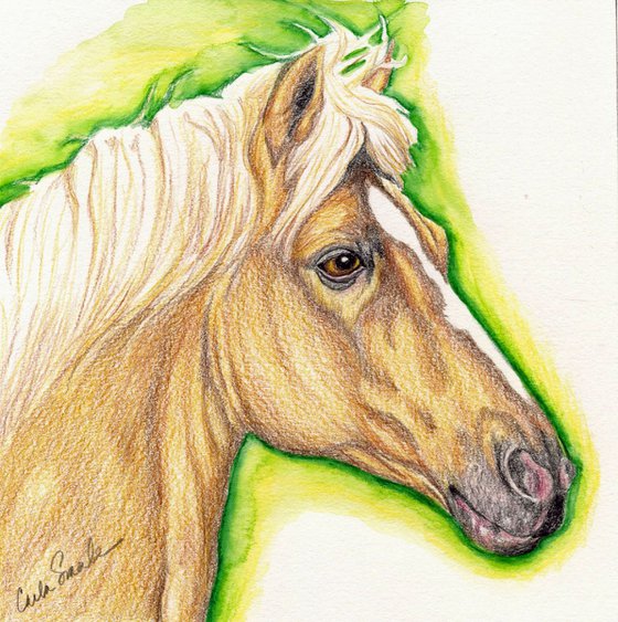 Palomino Pet Horse Art Original Drawing-Carla Smale