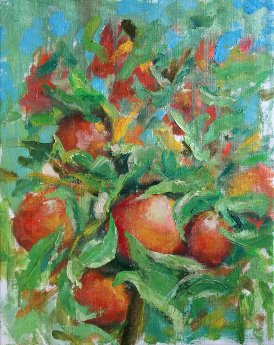 Apples By Salana Art / Svetlana Samovarova, 16 X 20, Artwork For Sale On Artfinder