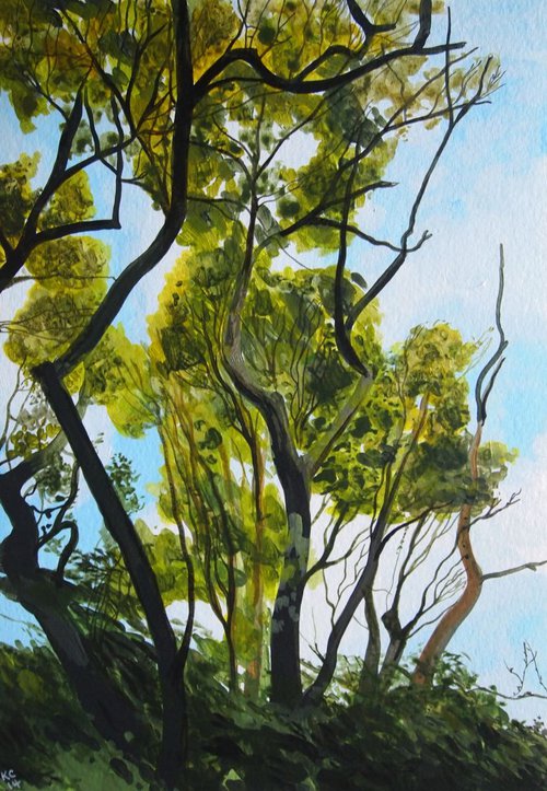 Tree Study #4 by Kitty  Cooper