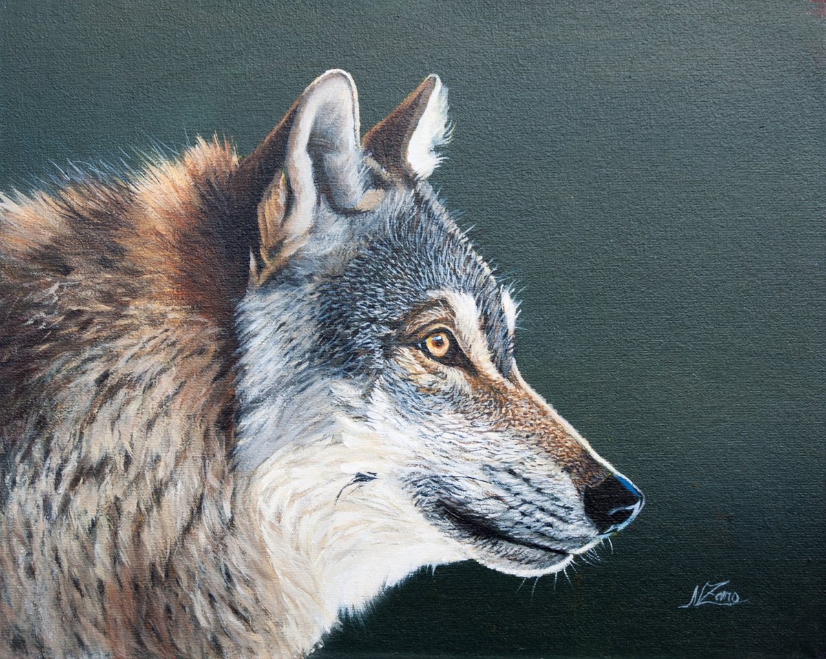 Wolf head by Norma Beatriz Zaro