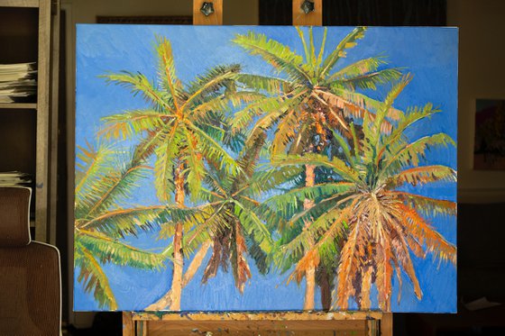 Coconut Palm Trees