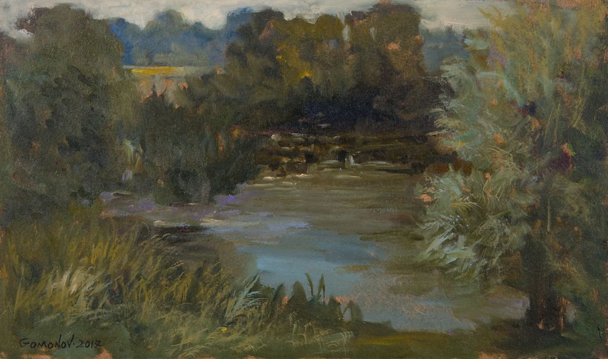 Mysterious Pond by Leanid Homanav