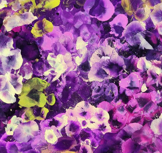 Violet Drift