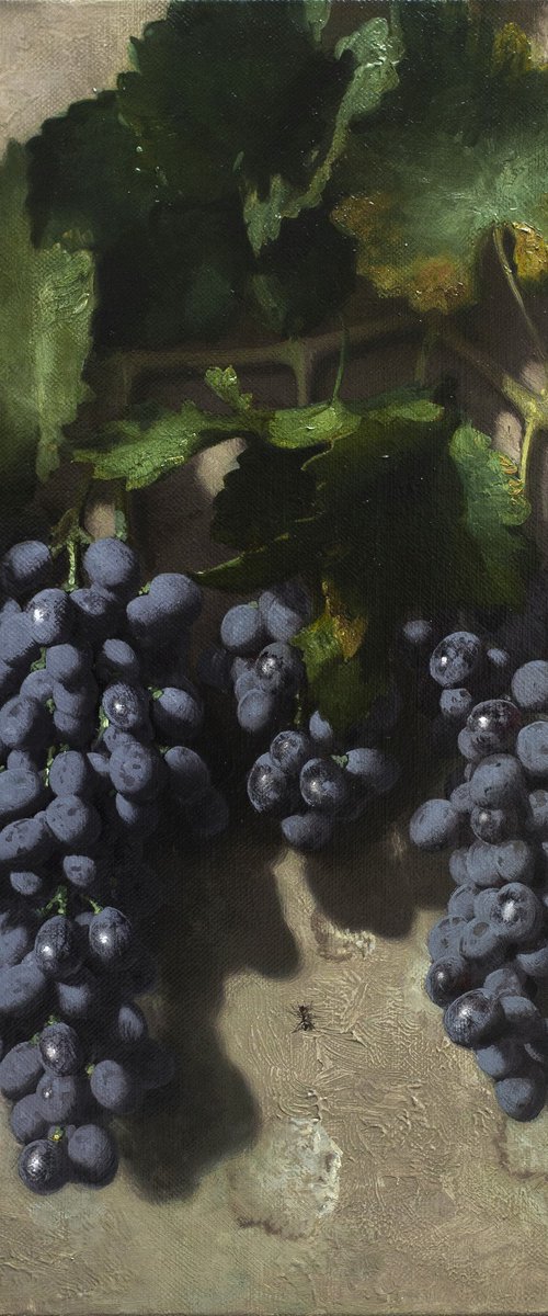 Black wine by Davit Davtyan