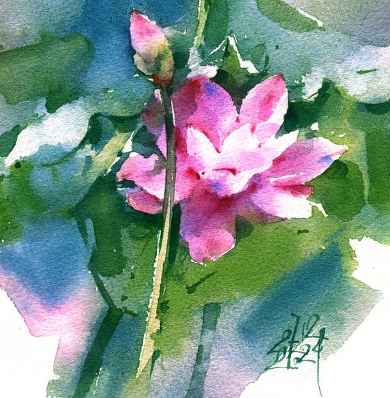 Lotuses Awakening