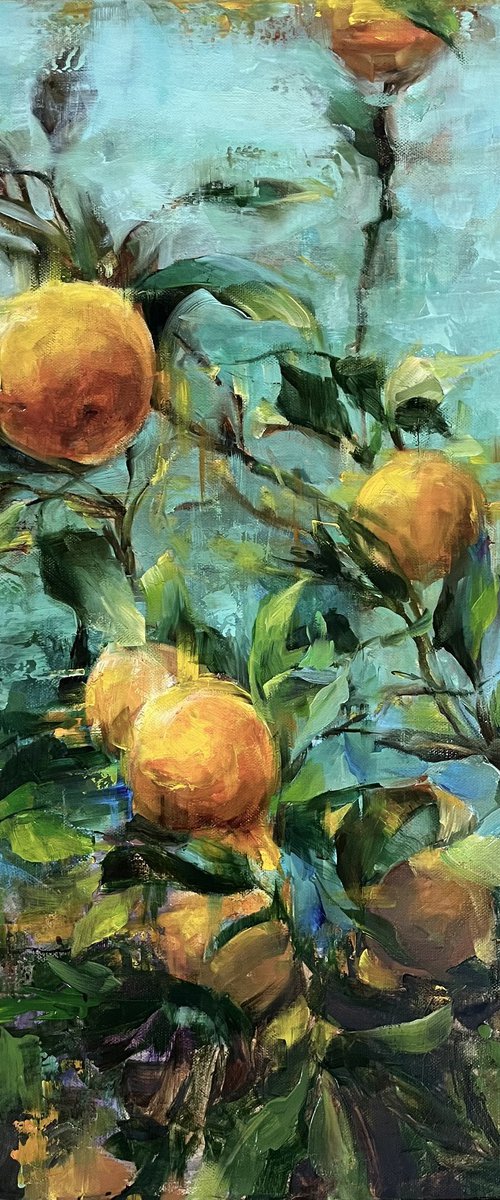 ORANGES - Provence by Elena Mashajeva-Agraphiotis