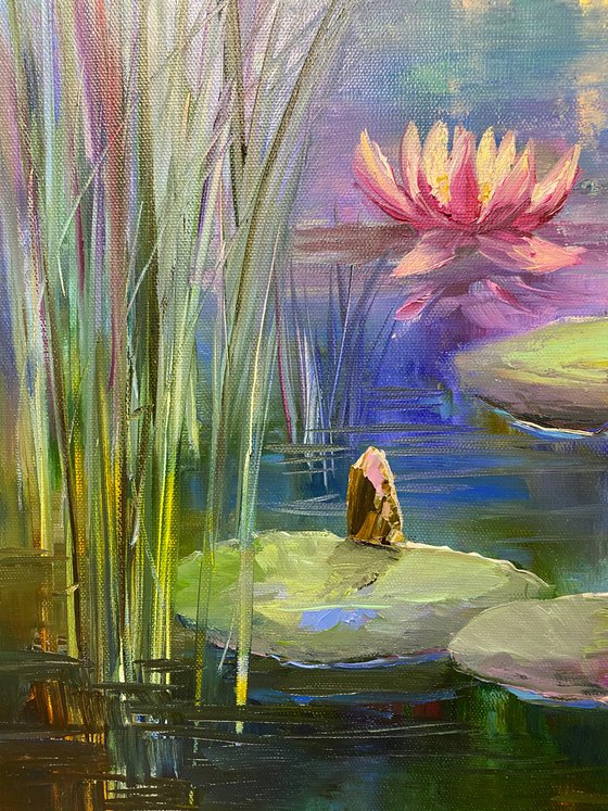 Time to contemplate ... pond, water lilies, Monet