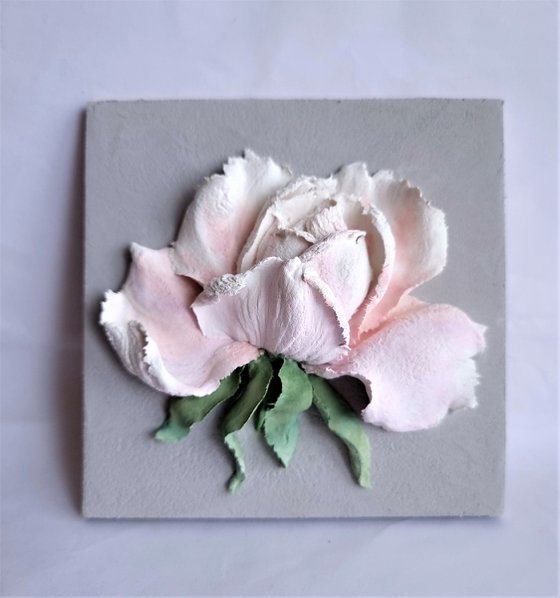 Relief flower painting with white-pink rose on a grey backgroud. The Rose #1. 13.5x13.5x4cm