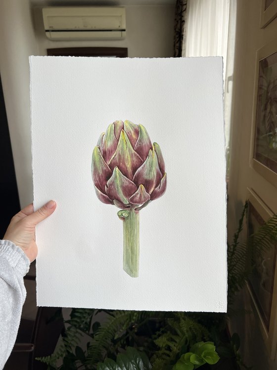 Artichoke. Original watercolor artvork.