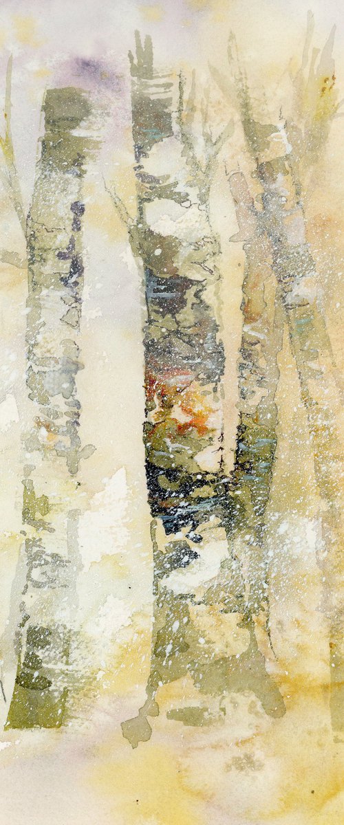Winter Birch Trees by Alex Tolstoy