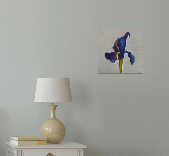 Velvet Iris