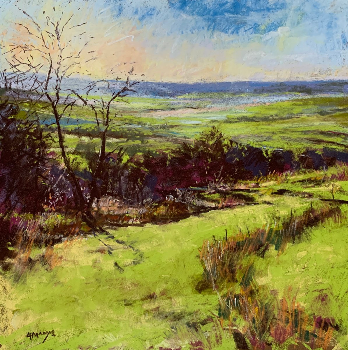 Late Afternoon, Howardian Hills, Yorkshire by Andrew Moodie