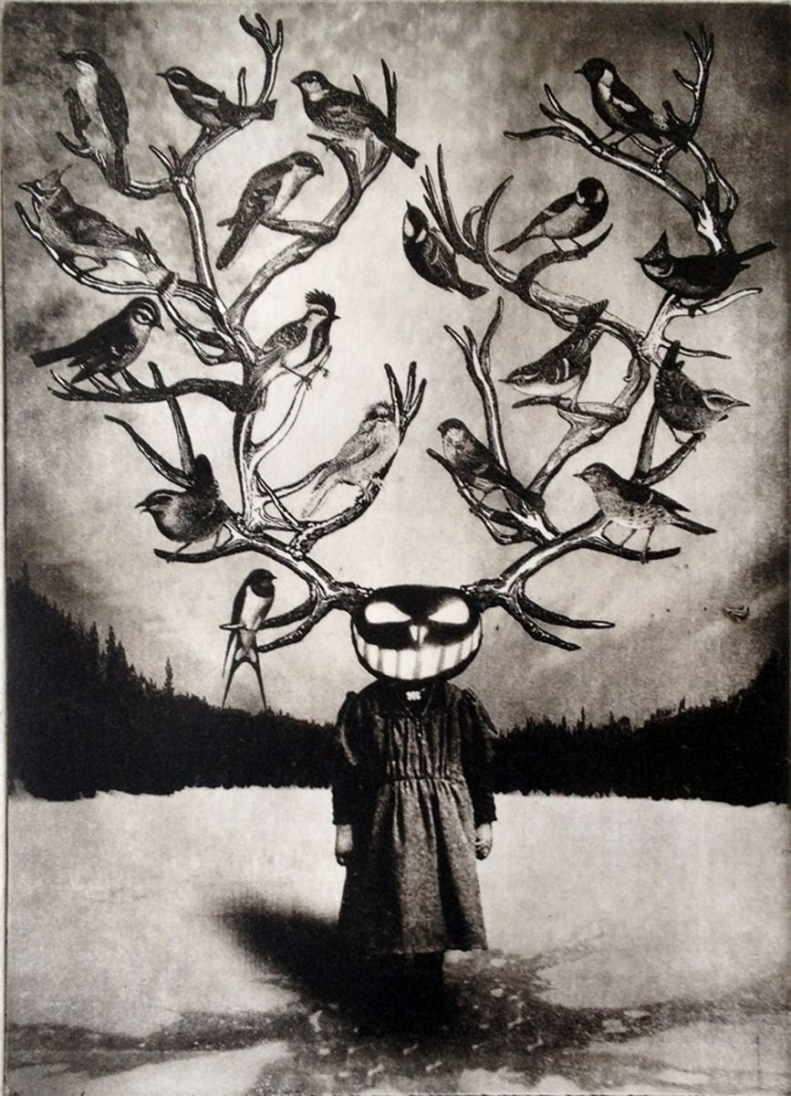 Surrealistic Portrait Etchings & Engravings By Jaco Putker, 8 X 11, The Girl From The Woods, Original Artwork