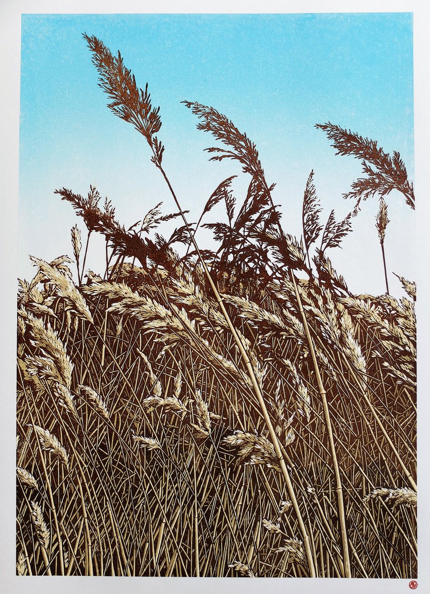 The Long Grass (version 1) by Susan Noble