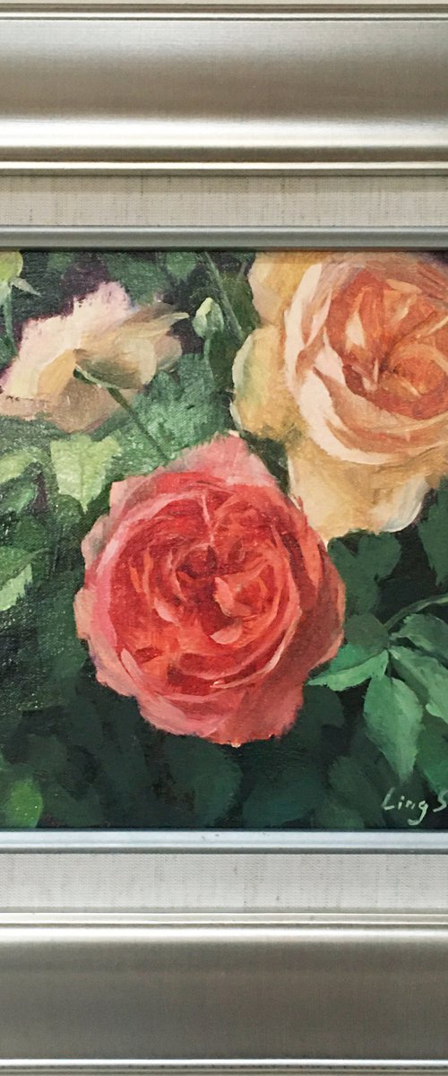 Rose Beauty #2 (framed) by Ling Strube