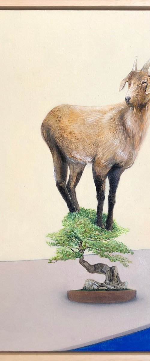 Bonsai Goat III by Joshua Daniels