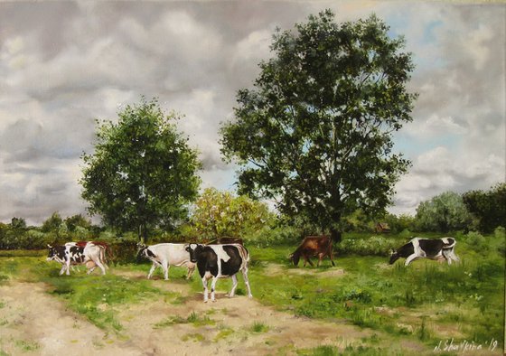 PEACEFUL PASTURE . Cows