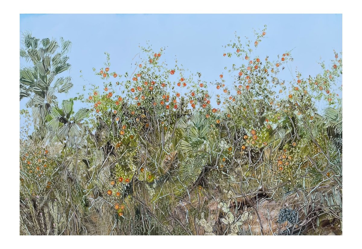 Landscape Oil Painting By Maija Nochevnaya, 28 X 20", An Abandoned Spanish Orange Orcha, Original Artwork