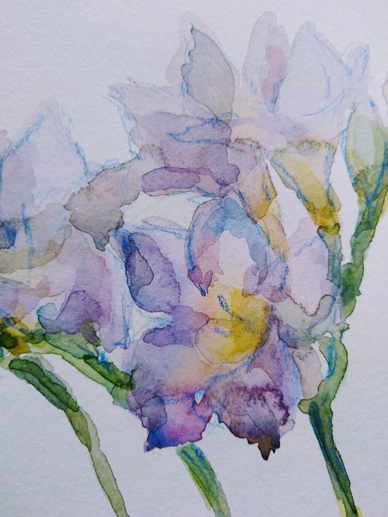 Freesias # 1 original watercolour painting.