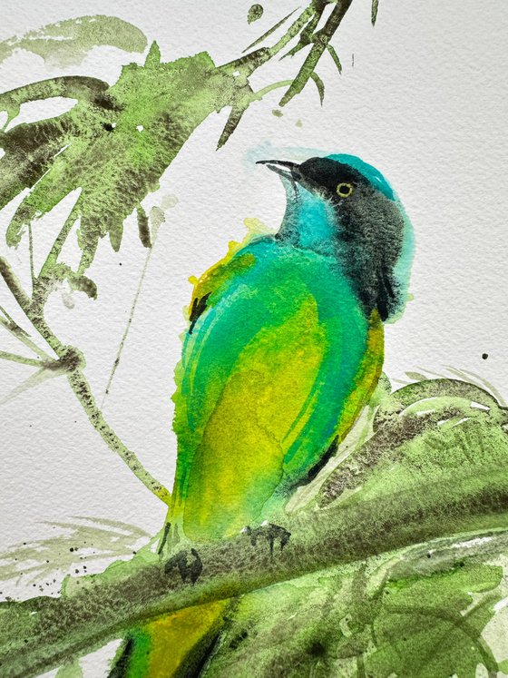 Green Bird