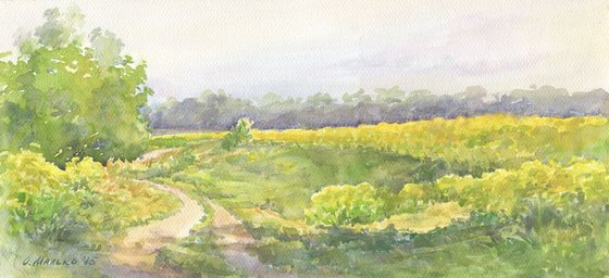 Yellow field / Flowering rape Rural landscape with road