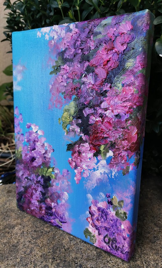 Purple bougainvillea. 18x24 cm. Impasto. Bouganville viola