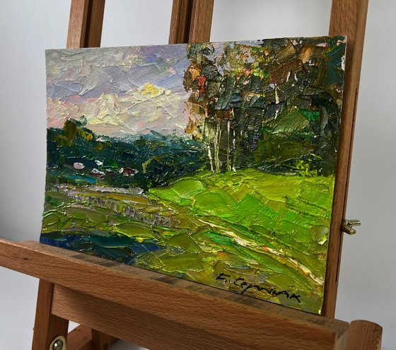 Birch Grove in the Light of the Morning Sun