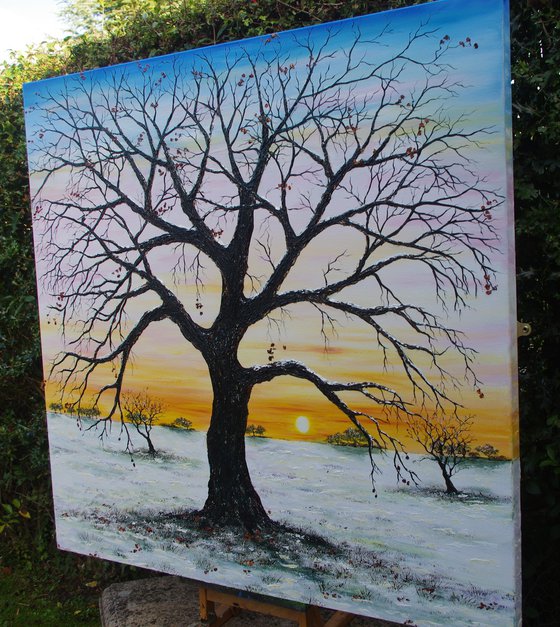 An Oak Tree in Winter