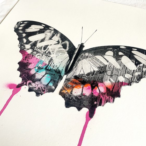Graffiti Butterfly (Pink Edition)