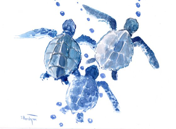 Three Sea Turtles