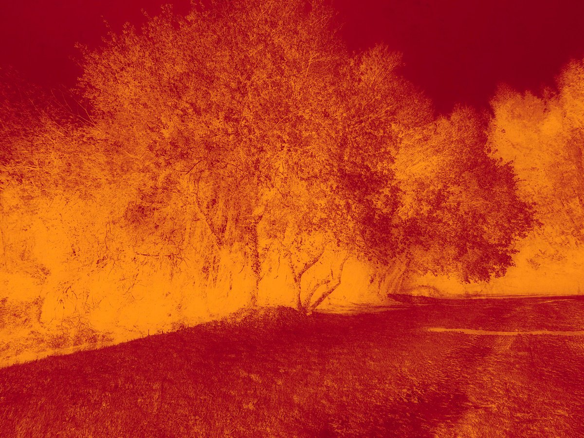 Impressionistic Photograph , Echoes In Gold Iv By Viet Ha Tran, 25 X 19, Artwork For Sale On Artfinder